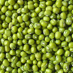 Green Moong Bean